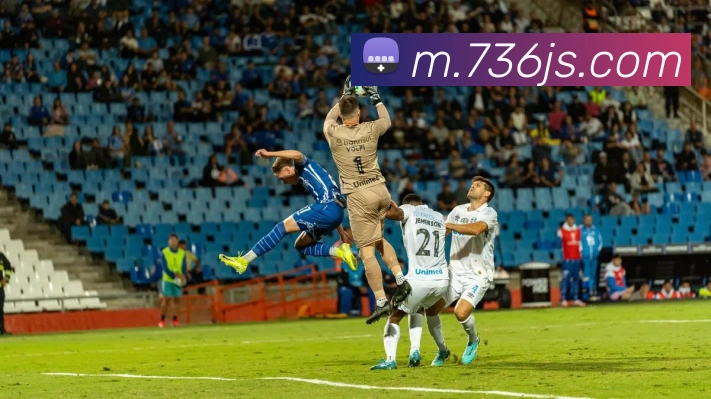 APP界面展示